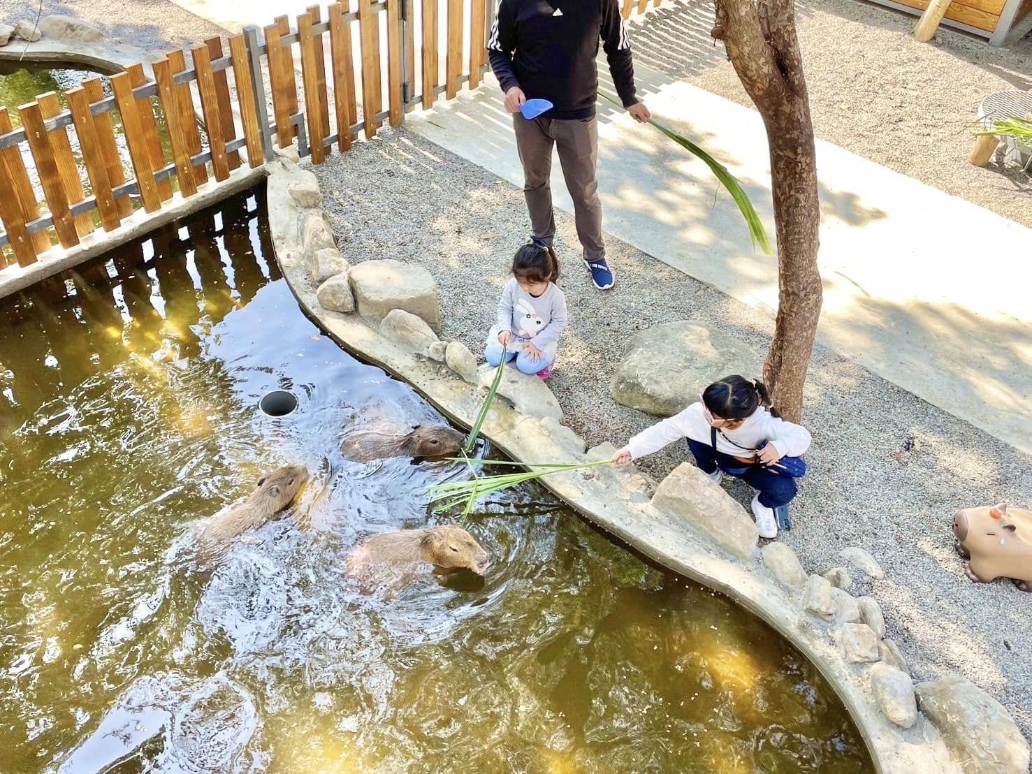 樹谷農場