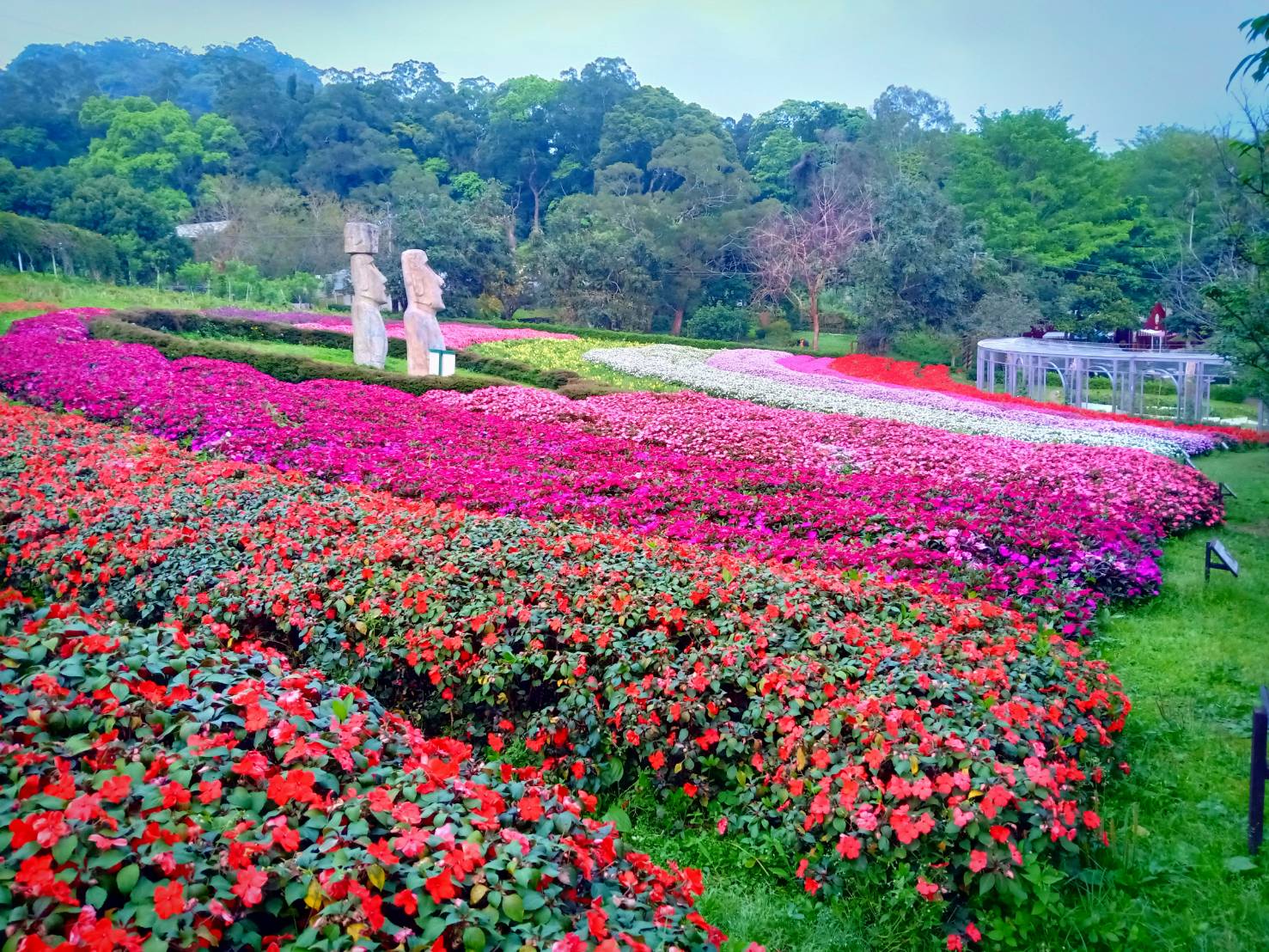 大溪花海農場