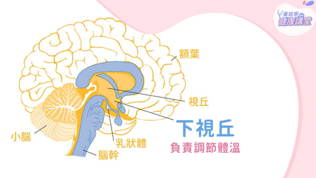 小孩發燒-發燒原因