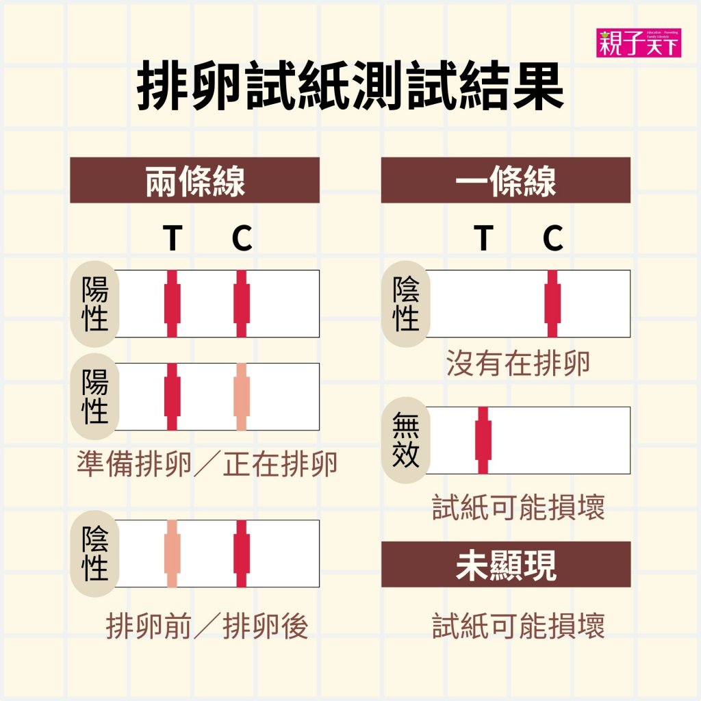 排卵試紙測試結果