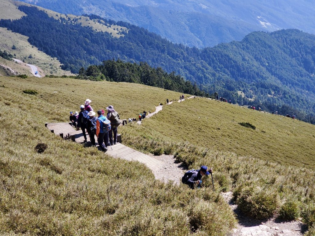 合歡東峰-親子登山-親子健行-爬山