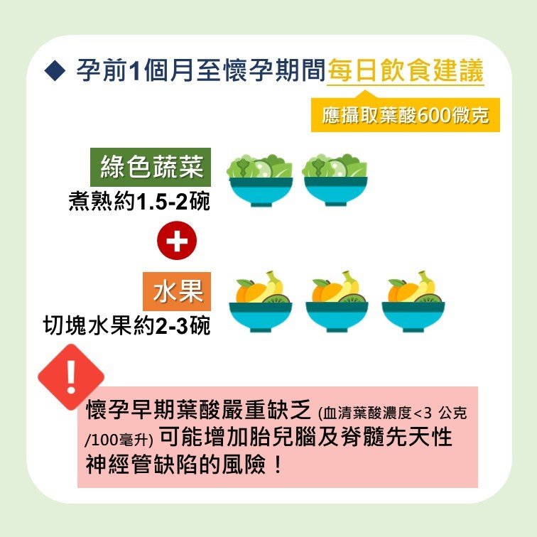 葉酸,孕婦,備孕,懷孕飲食,備孕期,懷孕期,哺乳期
