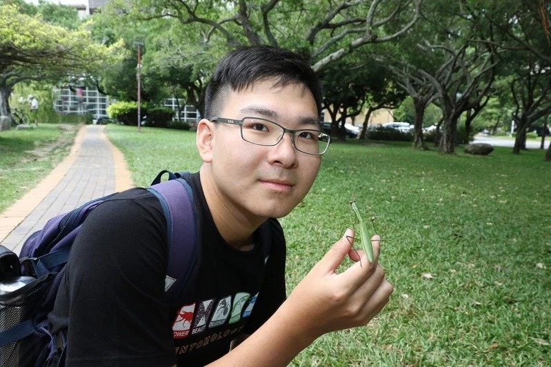 王遠騰5歲開始養螳螂,高三時循特殊選才管道錄取中興大學昆蟲系。中興大學提供