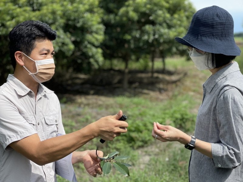 四季藝術創辦人親自選苗，在都市中復育一座陪伴孩子成長的水綠森林