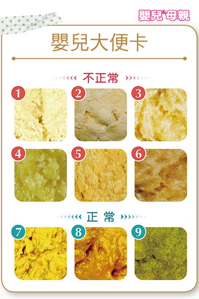 嬰兒與母親
