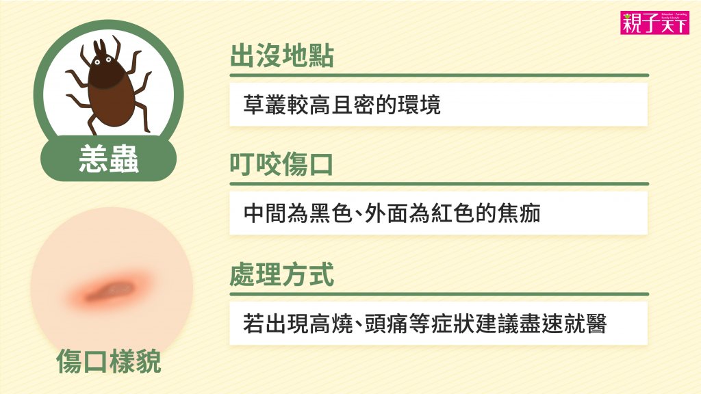恙蟲-蚊蟲叮咬-紅腫-處理方法