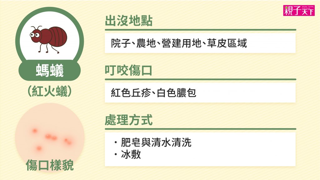 螞蟻-紅火蟻-蚊蟲叮咬-紅腫-處理方法