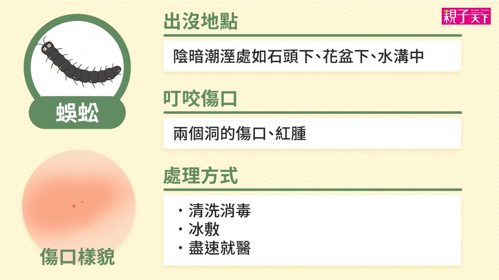 蜈蚣-蚊蟲叮咬-紅腫-處理方法
