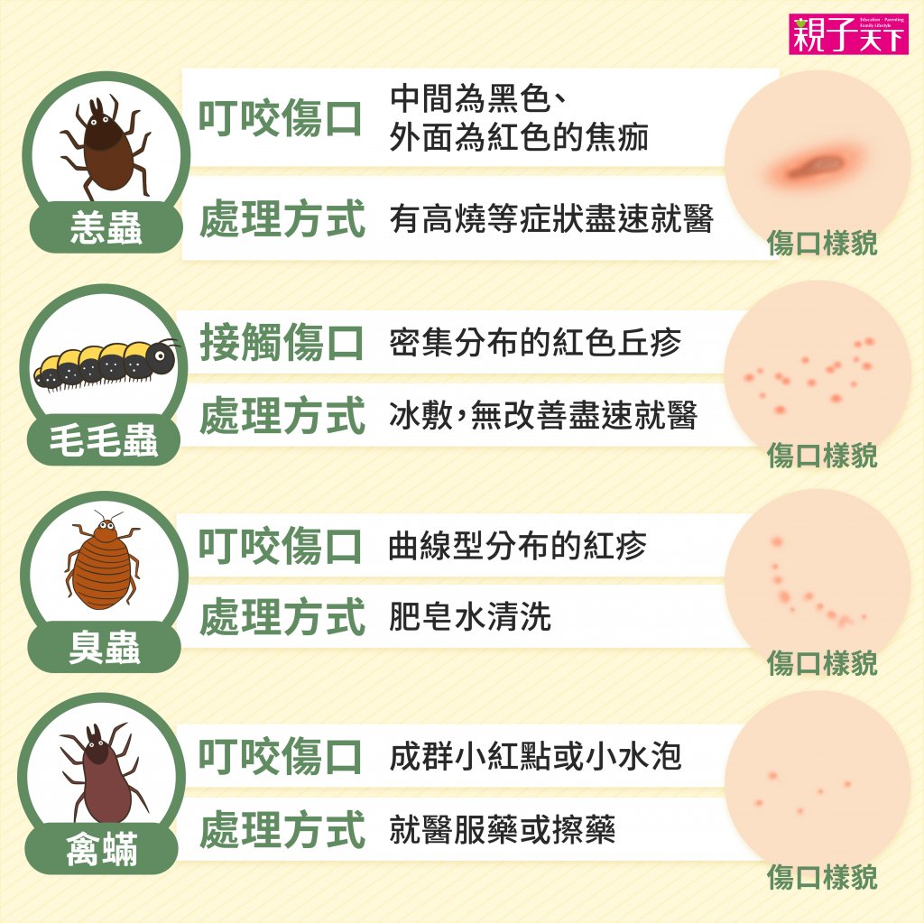 蚊蟲叮咬-紅腫-處理方法