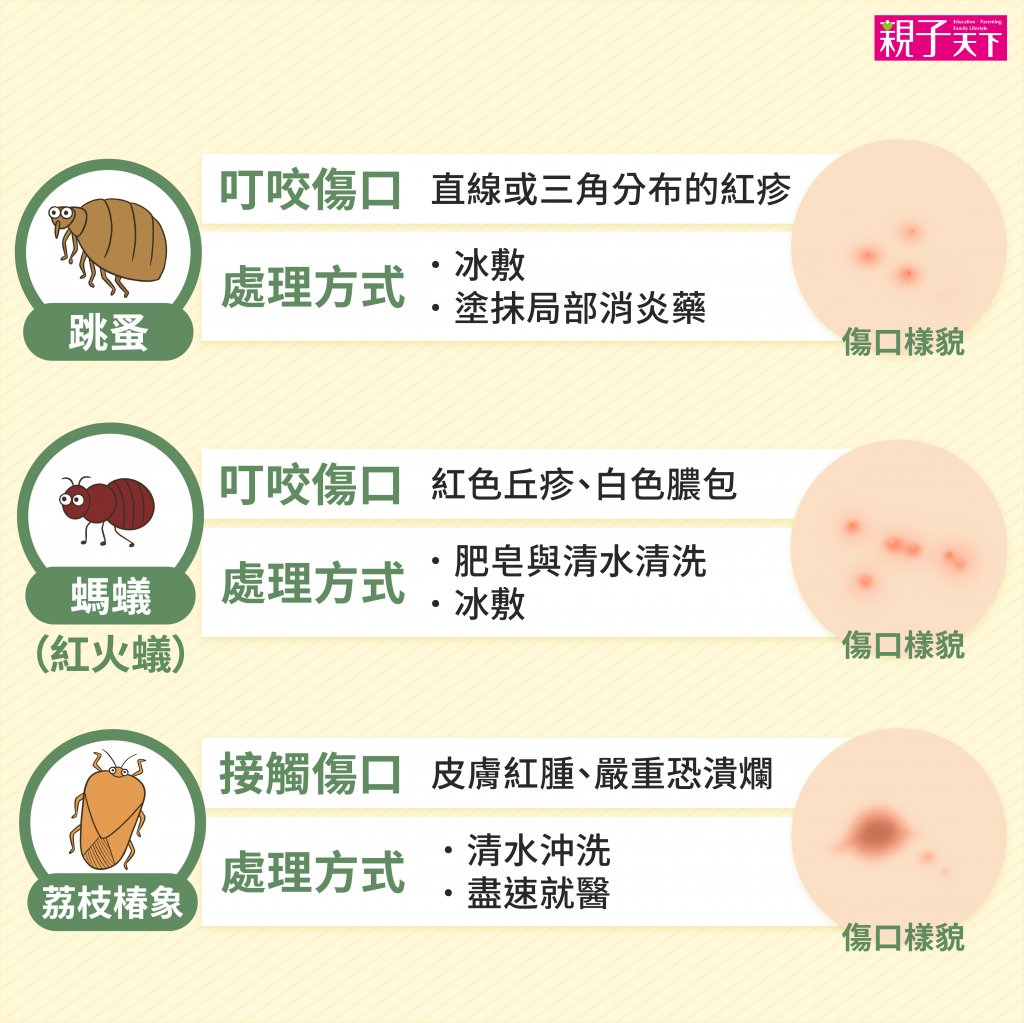 蚊蟲叮咬-紅腫-處理方法