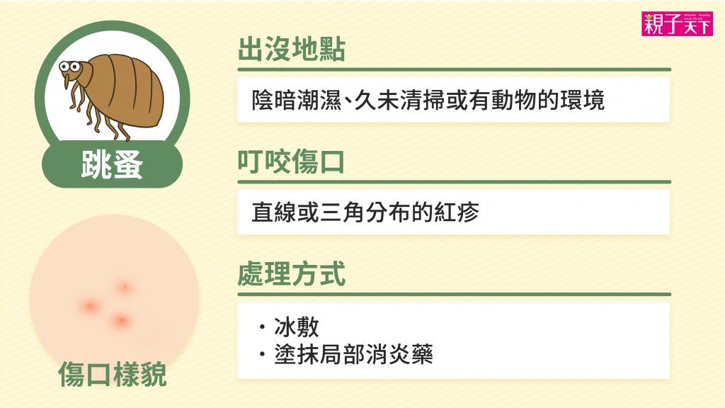 跳蚤咬-止癢-預防跳蚤