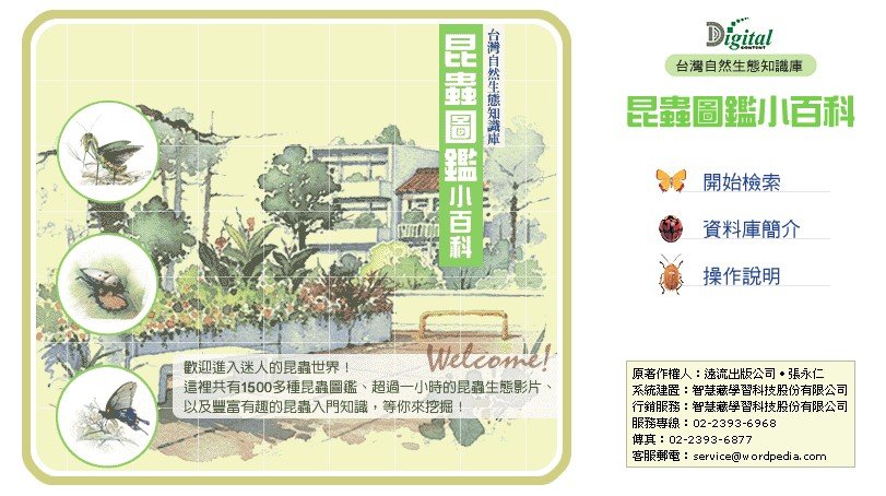 昆蟲圖鑑小百科