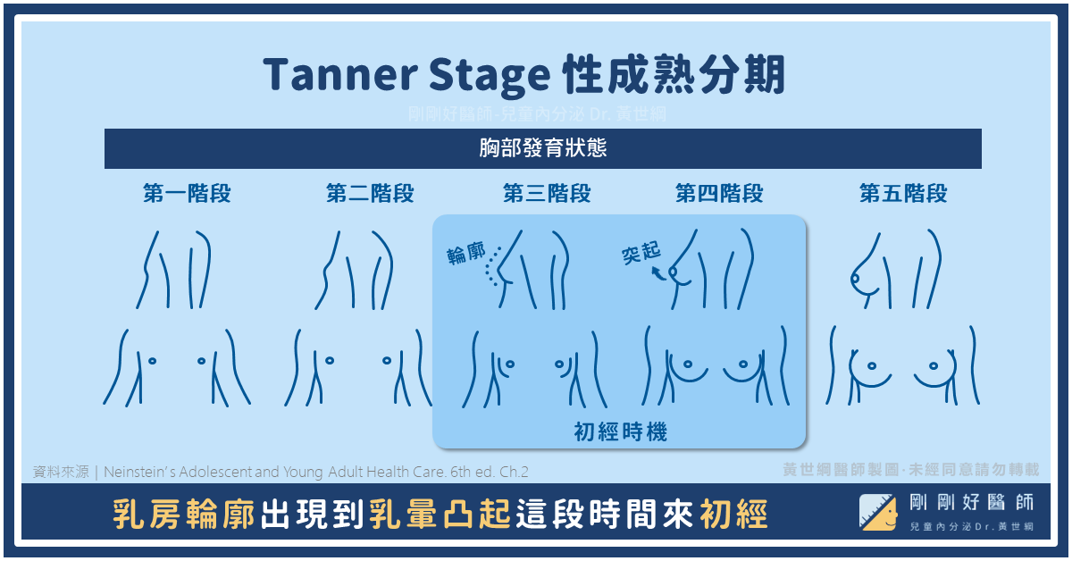 如何預估初經時機？初經來了還會再長高嗎？