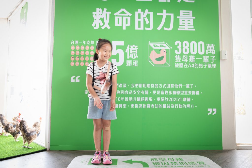 動物福利貨櫃展區,帶孩子從蛋雞飼養的環境出發,認識非籠飼雞蛋