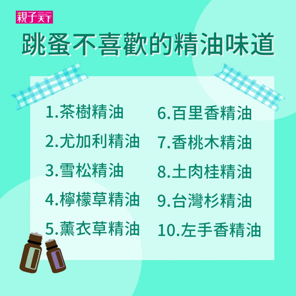 跳蚤怕什麼精油味道